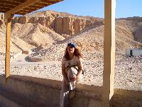 ������ �����