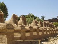 ���������� ����