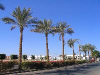 ������ �� ����