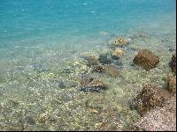 ������ ����..