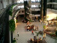 ���� � ����� �������