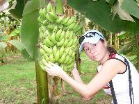 ��������� ������