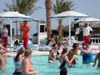 ������ ���� � �����������: ������ � ����. ����� Beach Albatros.