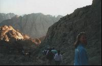 ������ ����� ,,