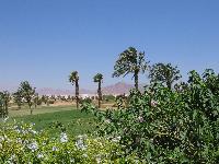 �����-����