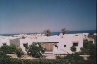 �� ������