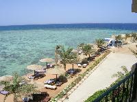 ����� ������ ������� ������