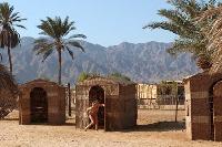 � ��� �������.....?