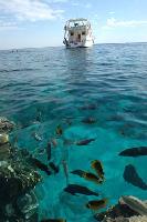 ������ ����.