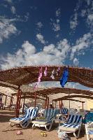 �������.