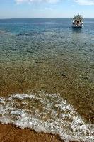 ���������.