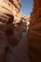 ��� 36 �������.