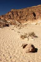 ���������� �������.