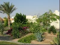 ���������� �����