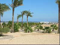 ������ �� ����