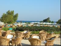 ����������� ����������