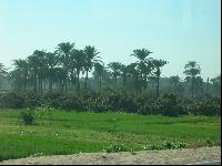 ����������� ���