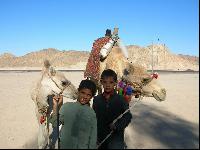 �� ���� � ������