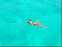 �������� �� �������