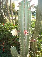 ������� � �����