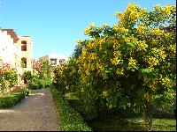 Iberotel Makadi Saraya Suites Resort & Family Resort - ������ ����� �����