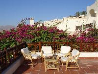 ������� ������ �� �������