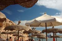 ������� ���.