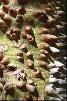 ������, � ���?