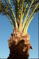 ��������� ����.