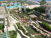 ����� ���