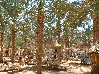 ��������� ����