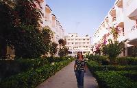 ������ �����