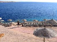 Halomy Sharm,���� �����