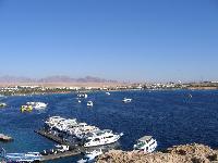 Halomy Sharm,��� �� ����� ����.