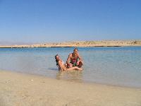 ����� �������.