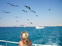 "����� ������ � ������ ���� �� ����..."