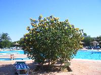 ������� �������