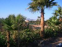 ��� �� �����