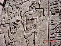 ���������� ���� (������)