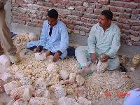 ���������� �������