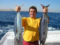 ������� � ������