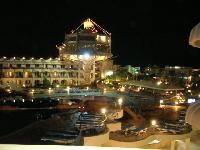 Sea Gull �����