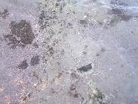 ����� ������ ���� �����