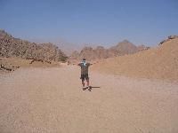 ���� ������