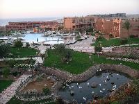 ��� �����