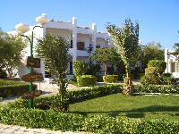 ��� �� 600-� ������