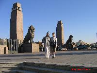 ���� ������