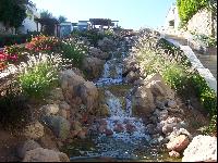 ������ ����������