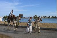 �������. ��������� �� ��������.