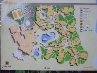 ���� �����